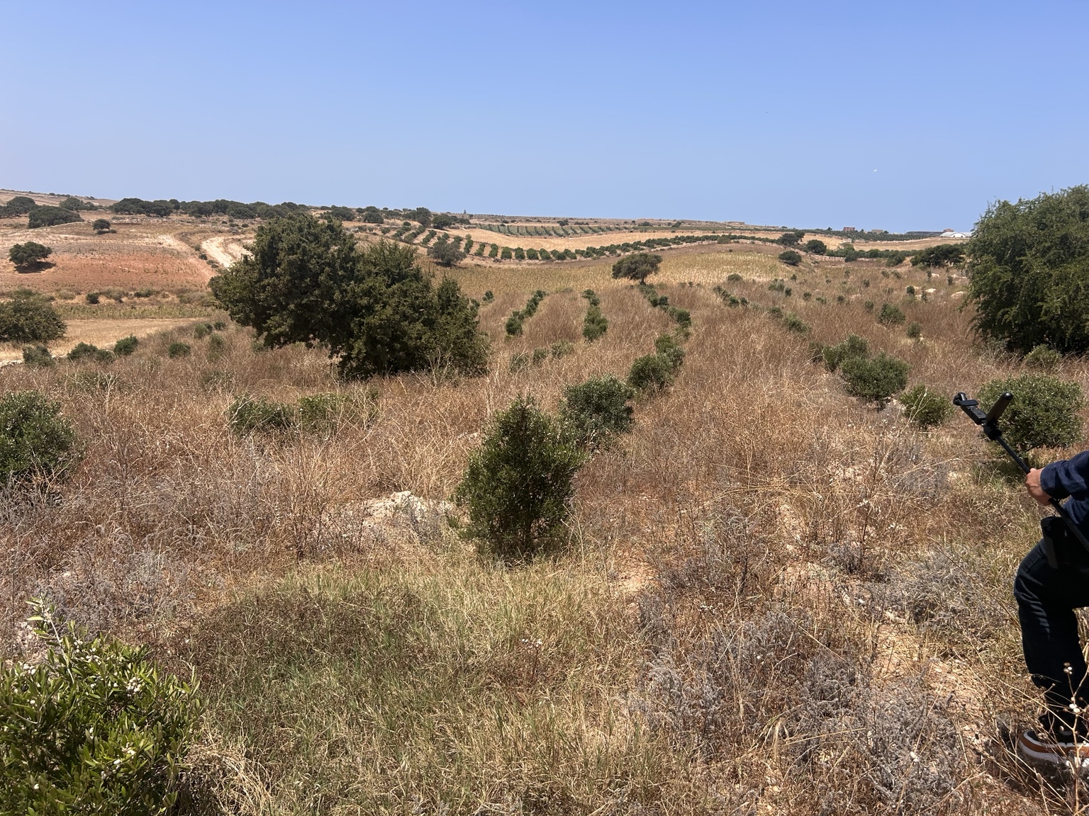 Chemin traversant les terres agricoles près de Safi