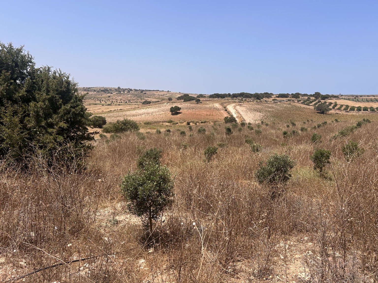 Vue ouverte sur les six hectares du Domaine